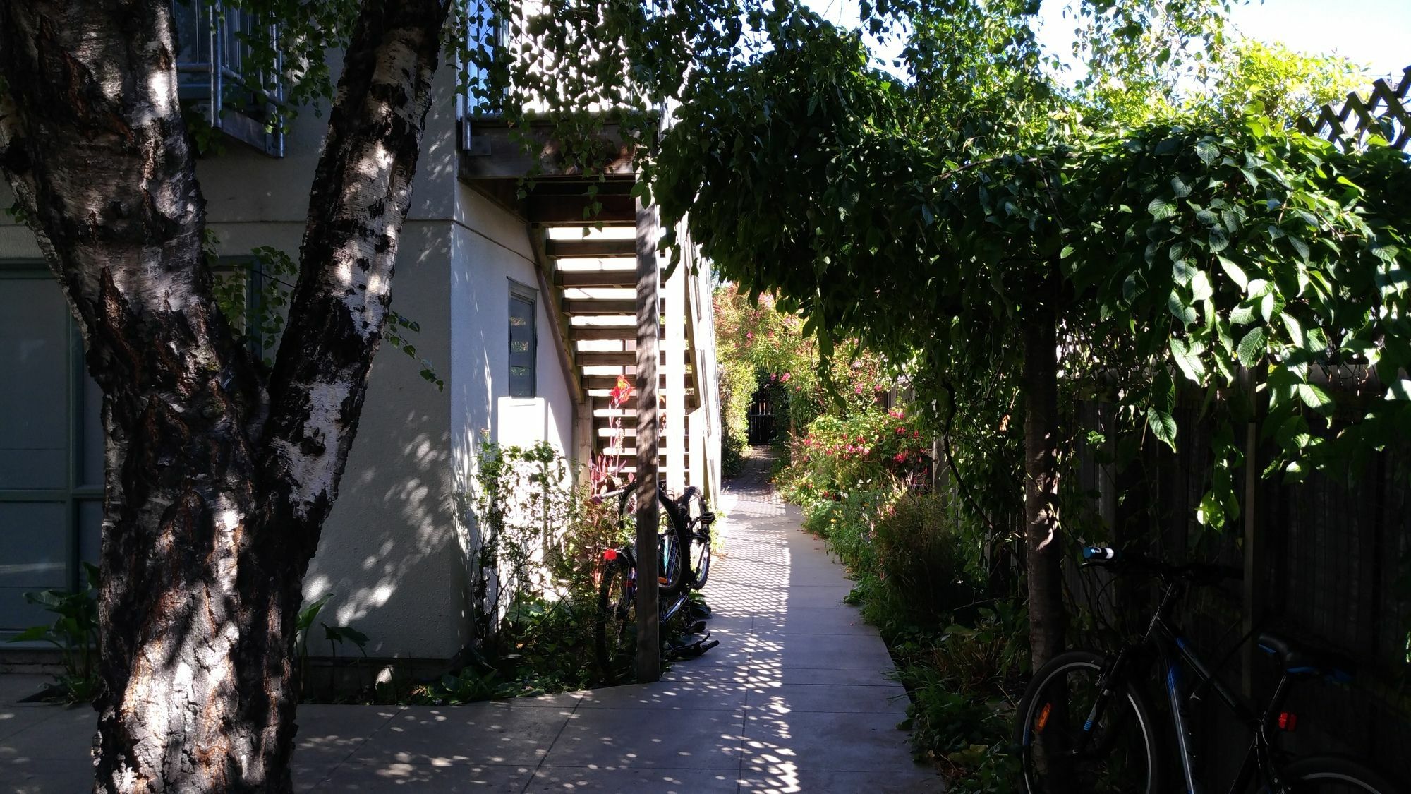 Kiwi House Hostel Christchurch Ngoại thất bức ảnh